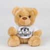 Bear in a t-shirt Thumbnail