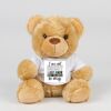 Bear in a t-shirt Thumbnail
