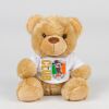 Bear in a t-shirt Thumbnail