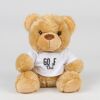 Bear in a t-shirt Thumbnail